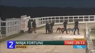Ninja Fortune Wins Towcester Race 9 - 16th June 2018 Watch Now!!! (Official Video)