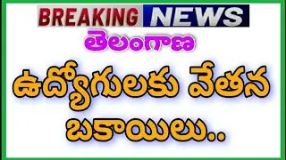 Employees Pending Salaries to be Released |ఉద్యోగులకు వేతన బకాయిలు విడుదల.....
