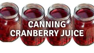 Canning Cranberry Juice: The Easiest Tutorial You'll Ever Watch!
