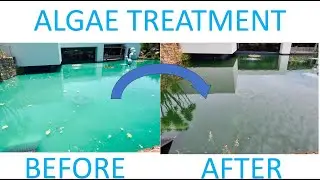 Killing stringy algae using cloverleaf blanket answer and lake fix enzyme