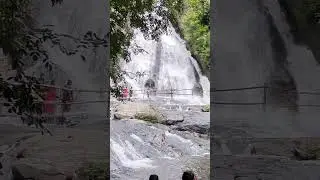 Monkey Falls