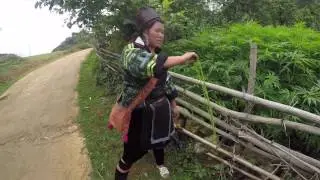 Sapa Trekking with Hmong Guide