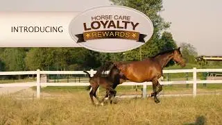 Horse Care Loyalty Rewards - Join Now