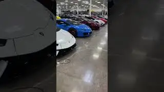 Shopping for my dream car @Tactical Motors #dreamcar