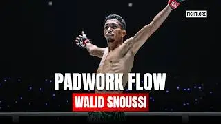 WALID SNOUSSI  Padwork Flow I Fightlore Official