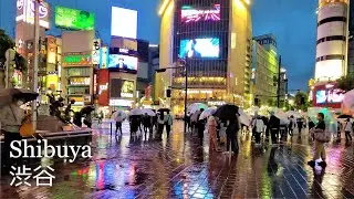 Shibuya on a rainy night [Tokyo, Japan/Jun.2020] 雨の夜の渋谷