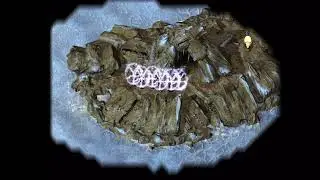 Baldur's Gate 1: EE We Play - Evil Character, Core Rules Diff - Ulgoth's Beard: Werewolf Island