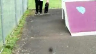 Ollie the pyramid hip