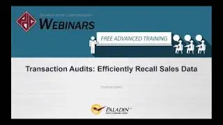 Transaction Audits Efficiently Recall Sales Data