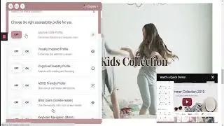 Website Accessibility - Ai Powered (Best + Cheapest Solution)