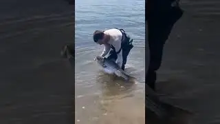 Delaware river striped bass 2022