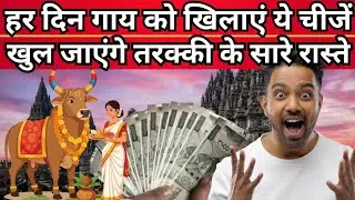 Cow Astro Remedies Sun horoscope paths to success and wealth