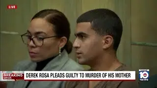 Derek Rosa says 'I'm sorry' after pleading guilty to killing mother; teen gets 25 years