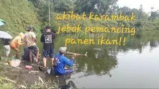 Akibat karambak jebol pemancing panen ikan#spot Patok Picis Wajak Malang#Hadi ART Mancing#