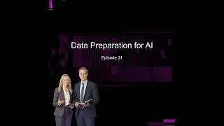 Episode 31 - Data Preparation for AI