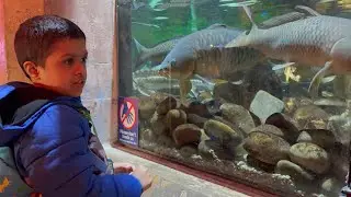 Sea life Vlog | Shanara K