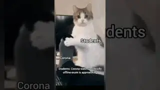 #Offline exam meme #online vs offline exam #Funny video #shorts