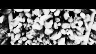 Diocreatura - For The Love On June [Official Video]