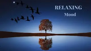 Relaxation Mood, Pure Relaxation Music for Sleeping, Healing Music for Deep Sleep, Sleep Music
