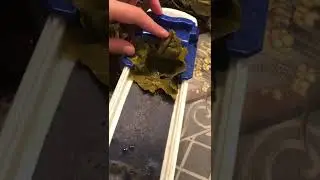 Rolling Egyptian Grape Leaves with Roller