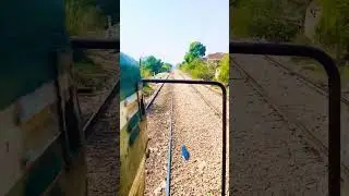 Hyderabad Yaard to Kotri Home Signal #train #railroad #railroad #travel #railtrack #railtransport