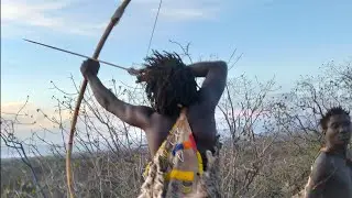 Hadzabe Bush Life 🌿 African Village Cooking, Eat & Share Traditional #VillageCooking