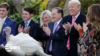 FULL EVENT: Trump&rsquo;s Thanksgiving Tradition Goes Viral | Turkeys Pardoned | AC15