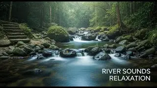 🌊 Relaxing River Water Sounds &ndash; Natural Deep Sleep Aid