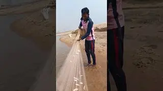 How To Throw A Cast Net Step by Step Captain Mike ReelReports