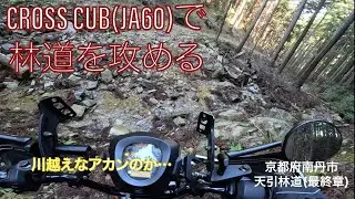 クロスカブで林道を攻める 京都府南丹市 天引林道(最終章)