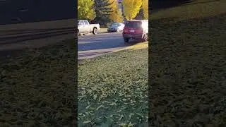 First Frost's Kiss Watching Golden Leaves Fall on a Sunny Autumn Morning