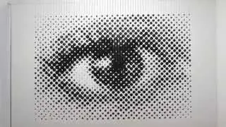 The Making of Perceptual Shift