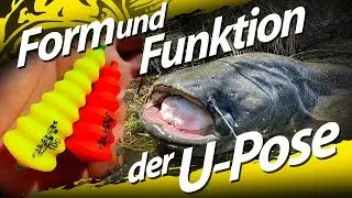 Unterwasserposen beim Welsangeln | Welche Form und Farbe f&auml;ngt am Besten | Wallerangeln mit U-Pose