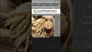 Morocco introduces wheat subsidy