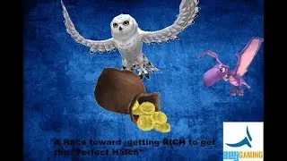 Wizard101 Farming for teh Gold to Hatch!