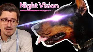 How Dog Night Vision Works!  Dr. Dan explains.
