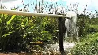 Irrigation Water Reclamation System At South Georgia Nursery