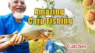Carp Fishing | Rohu Fishing | Carp Bait | Carp Fishing In India | Village Fishing | Rahu Fishing