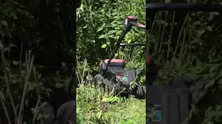 Hohes Gras m&auml;hen mit dem Kress Rasenm&auml;her #gartenarbeit #kress