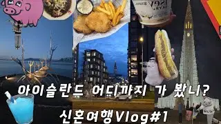 [Iceland Vlog#1] 아이슬란드 어디까지 가 봤니? 신혼여행편1