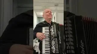 Дунайские волны #аккордеон