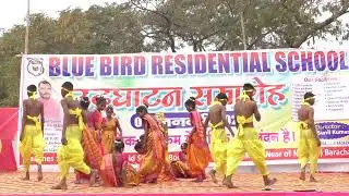 Blue bird residential School admission open going fast ❤️❤️❤️💫💫