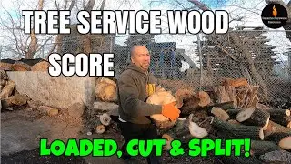 TREE SERVICE WOOD SCORE FULLY PROCESSED #FIREWOOD