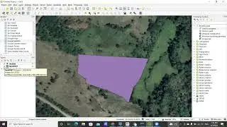 Converting points to polygons | How to create polygons from point vertices in QGIS