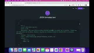 How to Get clean API Response using JSON Viewer Pro
