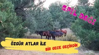 SPİL DAĞI - YILKI ATLARI İLE KAMP YAPTIK | EVİM DOĞA
