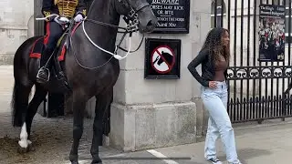 Happy Tourists and the King’s Horse. 