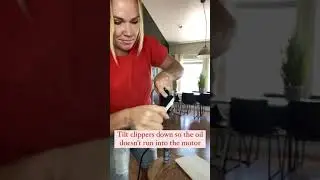 How to Oil Your Clippers #shorts