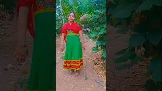 Aam Ho Manik #shortvideo #song @LokhicharanSoren