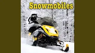 Electric Start 500 Cc Snowmobile Approaches at a Medium Speed, Pulls Up & Shuts off on a Frozen...